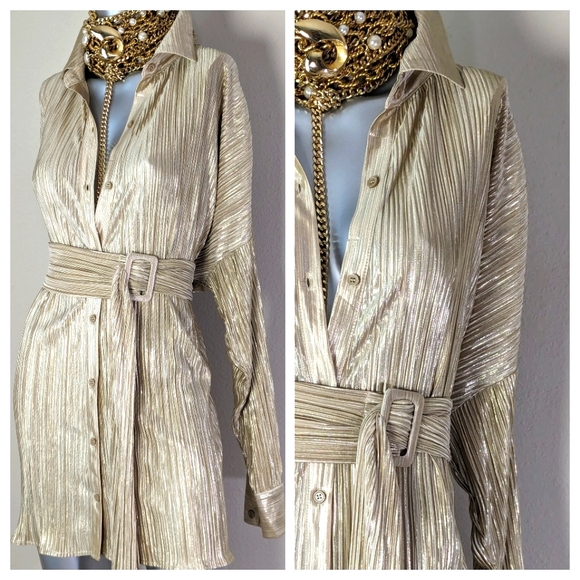 Golden Champagne Shimmery Accordion Pleated Belted Earth Girl "BOHO" Shirt Dress - Picture 8 of 12